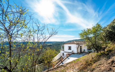 La propiedad se encuentra en su propia finca grande